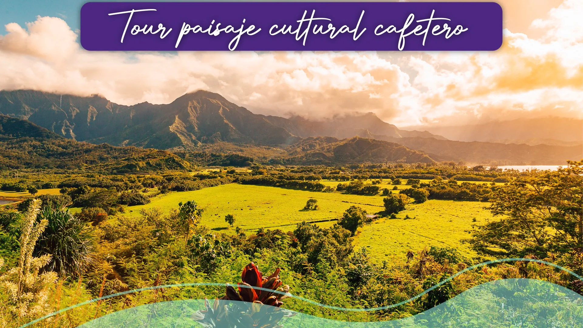 Explore the heart of the Coffee Cultural Landscape, a heritage that mixes nature, culture and tradition. Walk among mountains covered in coffee plantations, visit picturesque coffee towns and meet the families who keep the magic of this corner of the world alive. Here, each view is a postcard, each experience, an indelible memory.