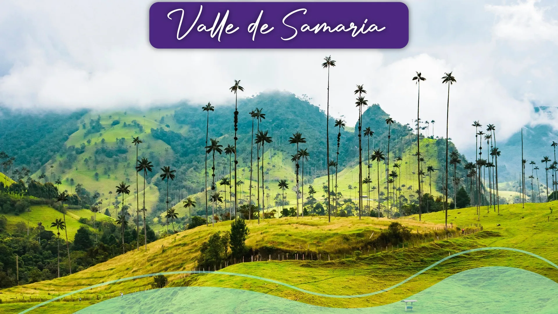 A paradise of natural beauty and tranquility. The Samaria Valley invites you to explore its trails surrounded by green mountains, crystalline rivers and impressive biodiversity. Here, the connection with nature is total: feel the breeze, listen to the sounds of the forest and contemplate landscapes that will remain engraved in your memory.