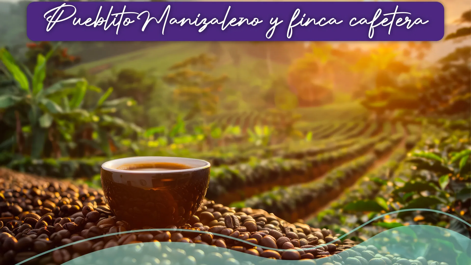 Immerse yourself in the soul of the Coffee Axis with this unique tour. It begins in Pueblito Manizaleño, a charming corner that recreates the traditional life of the region, full of colors, culture and smiles. Then, experience the magic of a coffee farm: walk among coffee plantations, learn about the coffee process and delight your senses with the best high-altitude coffee.