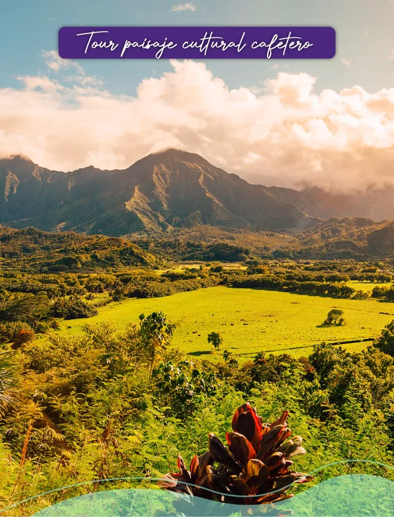 Explore the heart of the Coffee Cultural Landscape, a heritage that mixes nature, culture and tradition. Walk among mountains covered in coffee plantations, visit picturesque coffee towns and meet the families who keep the magic of this corner of the world alive. Here, each view is a postcard, each experience, an indelible memory.
