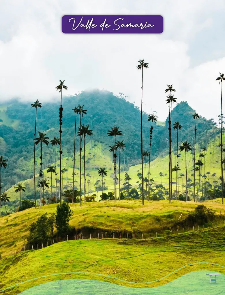A paradise of natural beauty and tranquility. The Samaria Valley invites you to explore its trails surrounded by green mountains, crystalline rivers and impressive biodiversity. Here, the connection with nature is total: feel the breeze, listen to the sounds of the forest and contemplate landscapes that will remain engraved in your memory.