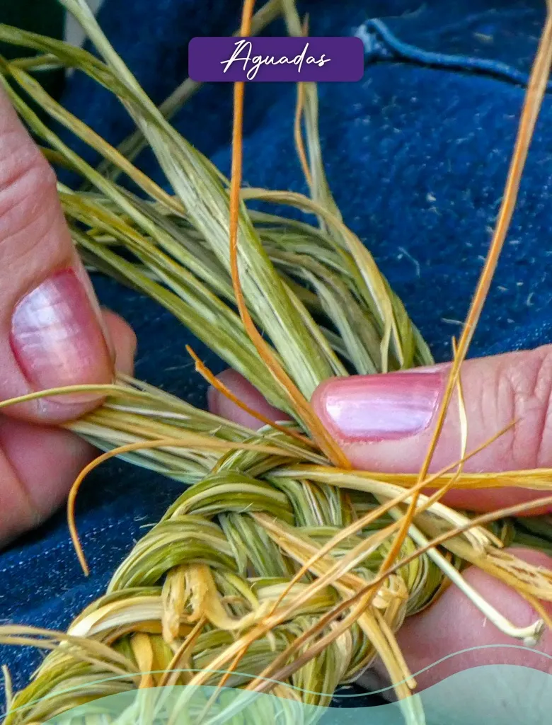 Immerse yourself in the history and tradition of Aguadas, where the mountains tell secrets and artisan hands weave palm hats with magic. This town, declared a World Heritage Site, invites you to walk through its cobbled streets, full of colonial architecture and aromas of freshly roasted coffee. Aguadas is a corner where time stops so you can live its essence.
